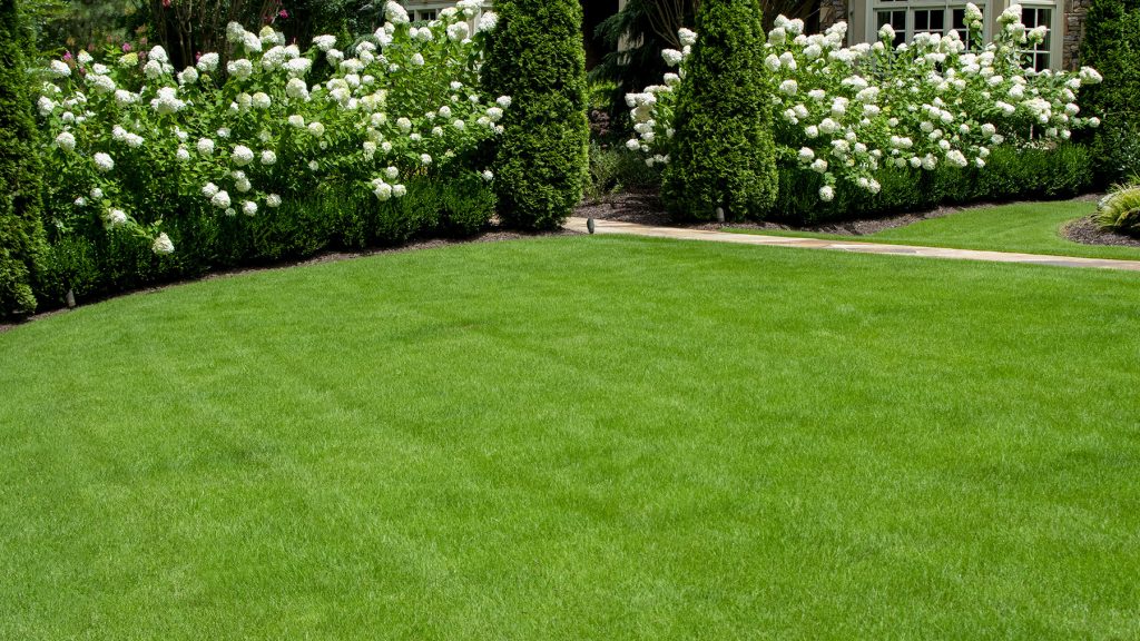 lawn Care Services St Louis Best Lawn Care Company Near Me